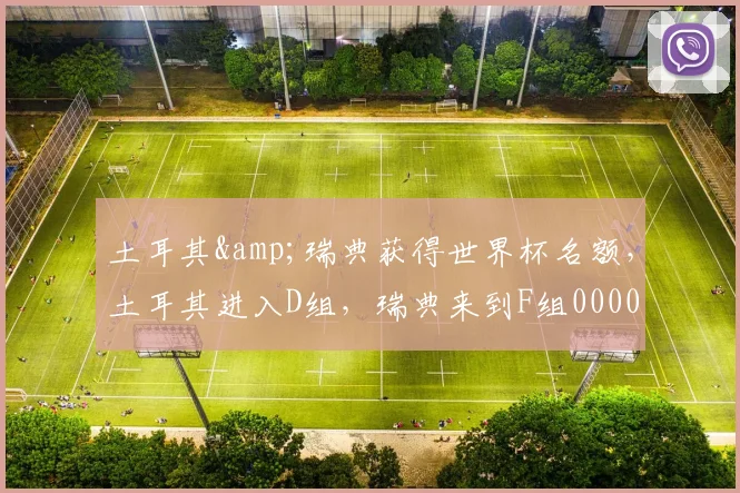 土耳其&瑞典获得世界杯名额，土耳其进入D组，瑞典来到F组0000644