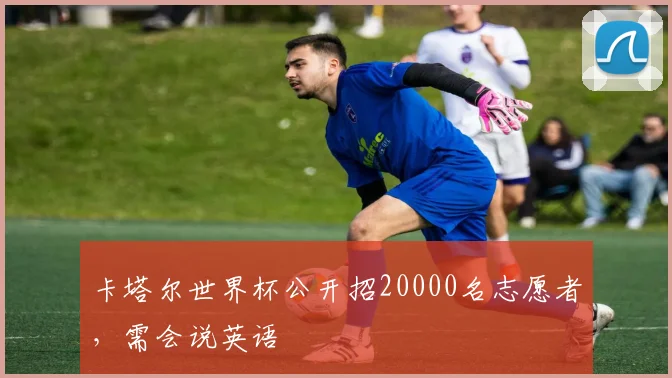 卡塔尔世界杯公开招20000名志愿者，需会说英语